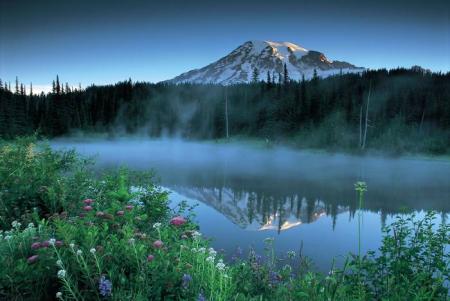 NATURE
